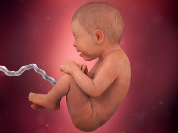 36. týden těhotenství